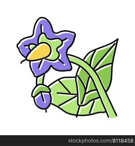 eggplant flower color icon vector. eggplant flower sign. isolated symbol illustration. eggplant flower color icon vector illustration