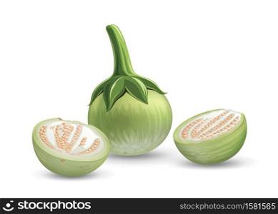 Eggplant vector, and eggplant cut half realistic design, isolated on white background, Eps 10 vector