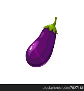 Eggplant veggie food in realistic design isolated. Vector purple ripe aubergine vegetable, Guibea squash. Fruit of brinjal edible vegetarian food, farm and agriculture product. Common aubergine. Aubergine vegetable eggplant isolate purple squash