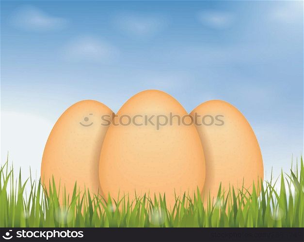Eggs in Grass
