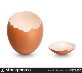 Eggshell, vector illustration