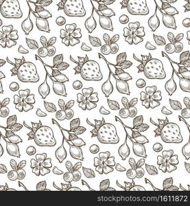 Eglantine branches with leaves, growing strawberries seamless pattern. Antioxidant fruits for dieting and detox. Dog-rose, flowers in blossom. Monochrome sketch outline, vector in flat style. Strawberries and eglantine, flowers and berries seamless pattern