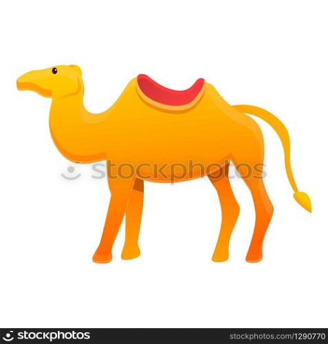 Egypt camel icon. Cartoon of Egypt camel vector icon for web design isolated on white background. Egypt camel icon, cartoon style