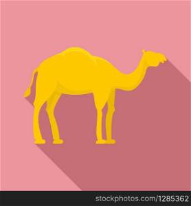 Egypt camel icon. Flat illustration of Egypt camel vector icon for web design. Egypt camel icon, flat style