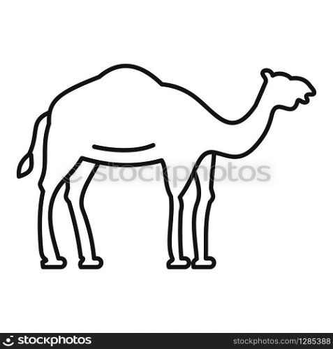Egypt camel icon. Outline egypt camel vector icon for web design isolated on white background. Egypt camel icon, outline style