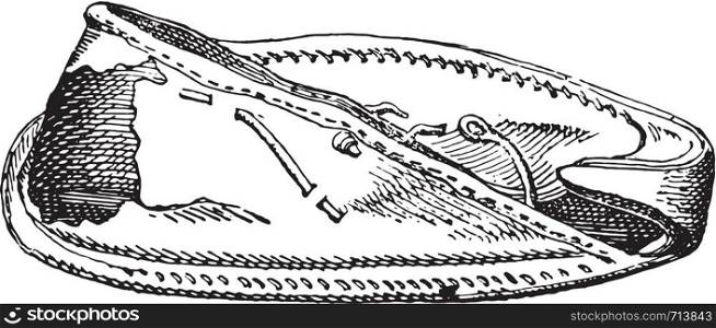 Egyptian shoe with sole, vintage engraved illustration.