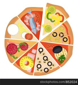 Eight different slices of pizza illustration vector on white background