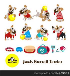 Eight funny dogs Jack Russell Terrier in clothes. Clothing and accessories for dogs. Vector illustration isolated on white background.