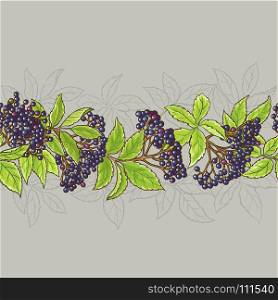 elderberry seamless pattern. elderberry branches seamless pattern on color background