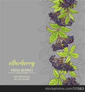 elderberry vector background. elderberry branches vector pattern on color background