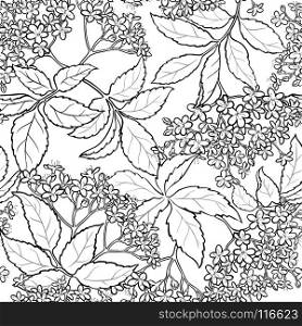 elderflower seamless pattern. elderflower branches seamless pattern on white background