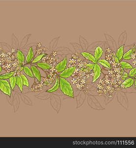 elderflower vector pattern. elderflower horizontal vector pattern on color background