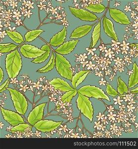 elderflower vector pattern. elderflower vector seamless pattern on color background