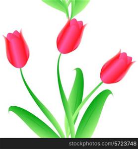 Elegance Seamless color tulips pattern on background, vector illustration