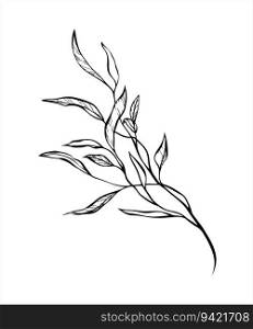 Elegant black line art of a branch leaf. Vector illustration. Doodle style. Outline illustration with green colors. For design, print, logo, decor, textile, paper.