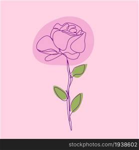 Elegant Rose in Continuous Line Drawing Isolated on Pink Background. Sketchy Flower. Vector Outline Simple Artwork with Editable Stroke.. Elegant Rose in Continuous Line Drawing Isolated on Pink Background. Sketchy Flower. Outline Simple Artwork with Editable Stroke.