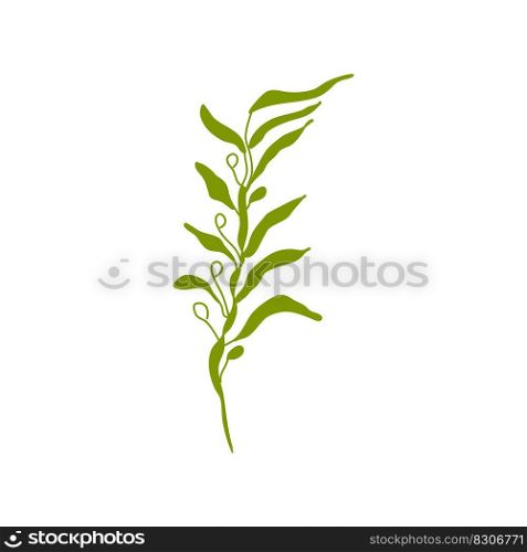 Elements of botany underwater marine plants, flora. Algae and corals. Design of a summer banner, poster. Isolated vector flat illustration.