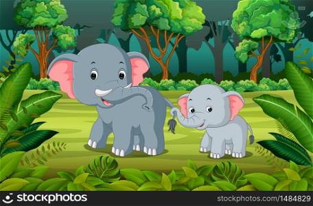 Elephant and baby elephant in the forest
