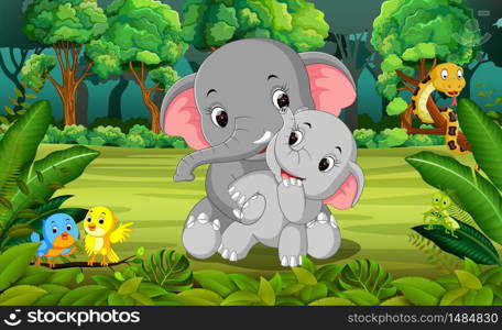 Elephant and baby elephant in the forest