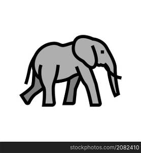 elephant animal in zoo color icon vector. elephant animal in zoo sign. isolated symbol illustration. elephant animal in zoo color icon vector illustration