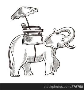 Elephant as mean of transportation sketch outline. Indian transport mammal with trunk with umbrella making shade on its back. Ride for tourists visiting country isolated on vector illustration. Elephant as mean of transportation sketch vector illustration