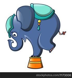 Elephant at circus icon. Cartoon of elephant at circus vector icon for web design isolated on white background. Elephant at circus icon, cartoon style