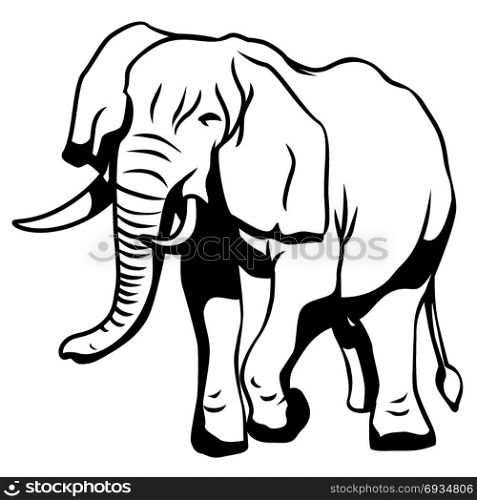 Elephant drawing black and white, illustration design.