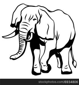 Elephant drawing black and white, illustration design.
