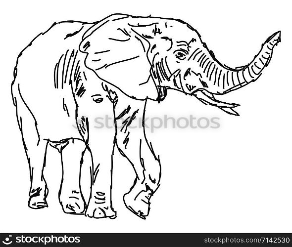 Elephant drawing, illustration, vector on white background.