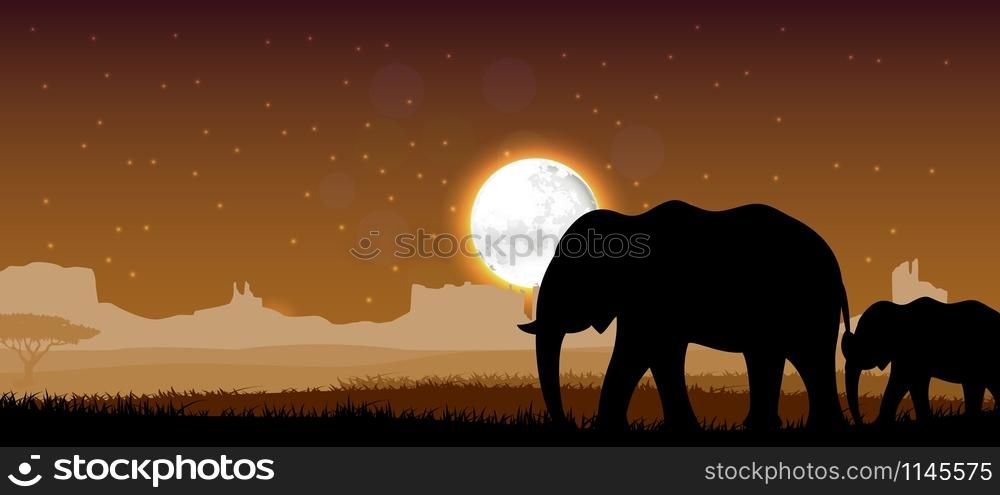 Elephant family sunset. Vector