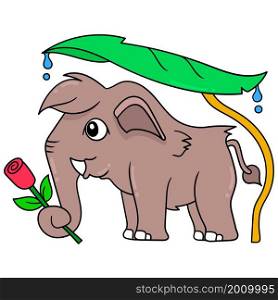 elephant holding a red rose