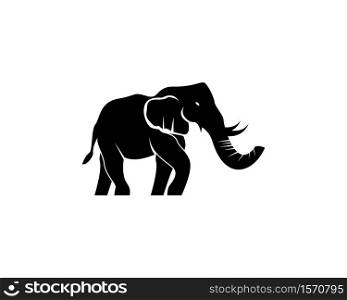 Elephant icon and symbol vector illustration