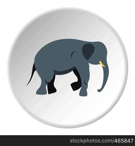 Elephant icon in flat circle isolated on white vector illustration for web. Elephant icon circle