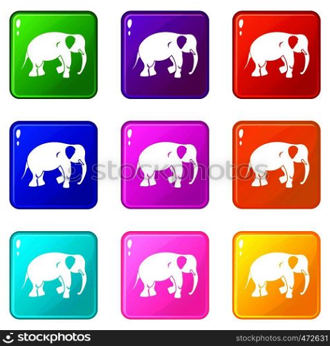 Elephant icons of 9 color set isolated vector illustration. Elephant icons 9 set