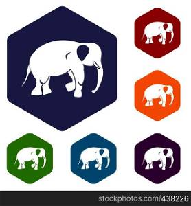 Elephant icons set hexagon isolated vector illustration. Elephant icons set hexagon