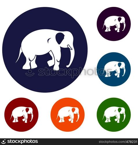 Elephant icons set in flat circle red, blue and green color for web. Elephant icons set