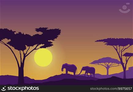Elephant Sunset Animal Savanna Landscape Africa Wildlife Illustration