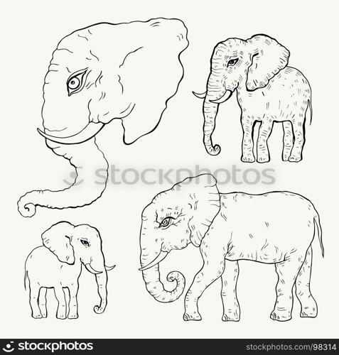 Elephant. Vector illustration. Elephant. Hand drawn Vector illustration, Vintage style