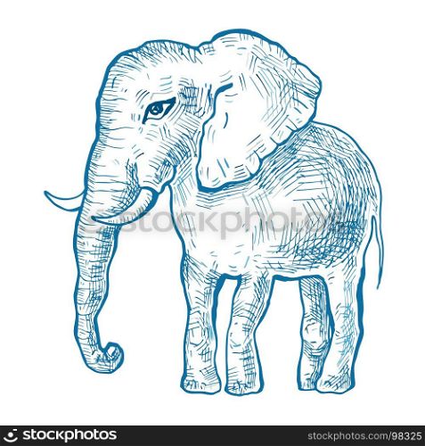 Elephant. Vector illustration. Elephant. Hand drawn Vector illustration, Vintage style