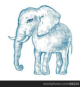 Elephant. Vector illustration. Elephant. Hand drawn Vector illustration, Vintage style