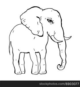 Elephant. Vector illustration. Elephant. Hand drawn Vector illustration, White background