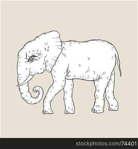 Elephant. Vector illustration. Elephant. Hand drawn Vector illustration, White background