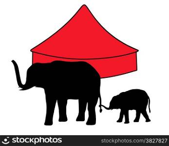 Elephants in circus