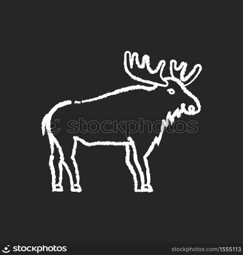 Elk chalk white icon on black background. Hoofed ruminant animal with large antlers. American forest wildlife. Herbivore wapiti with big horns. Canadian moose isolated vector chalkboard illustration. Elk chalk white icon on black background