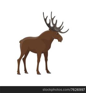 Elk wild animal vector isolated icon. Zoo mammal moose and hunt trophy wapiti elk. Elk animal, hunt and zoo wild moose