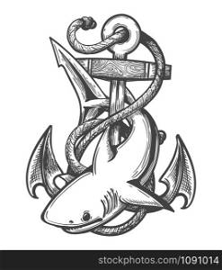 Emblem of Shark and Anchor in Ropes drawn in Tattoo Style. Vector illustartion.