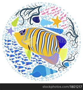 Emperor angelfish Pomacanthus imperator on white, sea animal wildlife character. Nature underwater, marine wild ocean zoo fish.. Emperor angelfish Pomacanthus imperator on white, sea animal wildlife character. Nature underwater, marine wild
