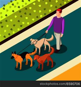 Employed worker during dogs walking on leashes on walkway with green bushes isometric background vector illustration. Dogs Walking Isometric Background