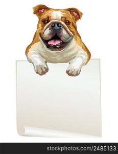 Empty banner with realistic bulldog dog vector illustration. Dog with template isolated on white background. For print, design, T-shirt, banner, poster. Vector illustration
