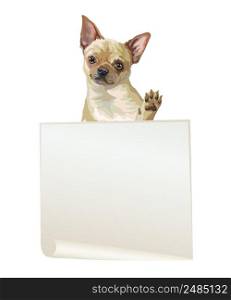 Empty banner with realistic Chihuahua dog vector illustration. Dog with template isolated on white background. For print, design, T-shirt, banner, poster. Vector illustration